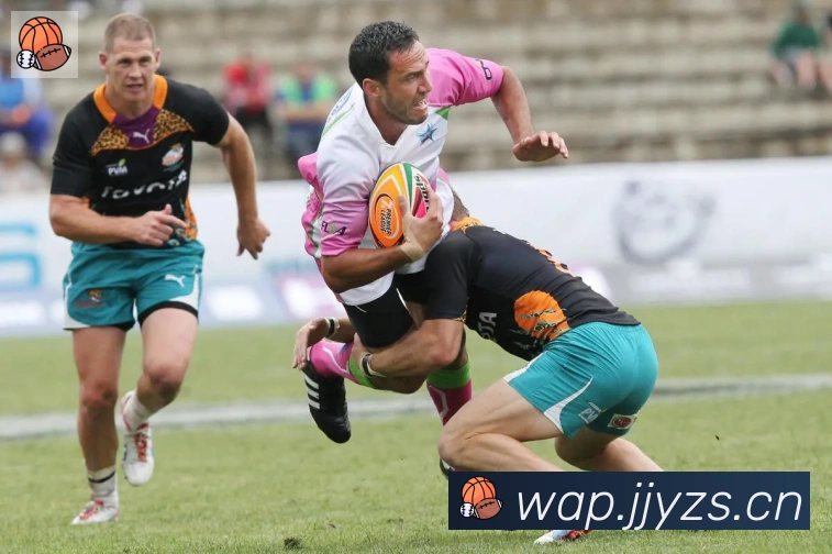 开云kaiyun入口平台生态图