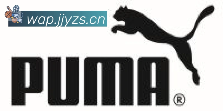 开云kaiyun入口合作伙伴